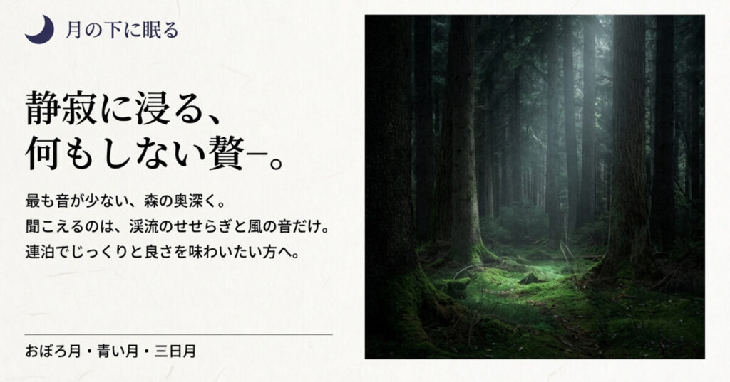 深い森の奥、木漏れ日が差し込む幻想的な写真。